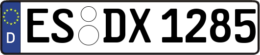 ES-DX1285