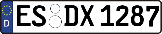 ES-DX1287