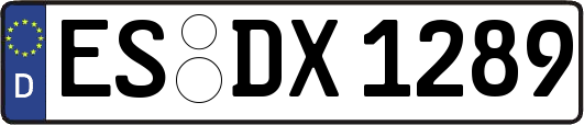 ES-DX1289