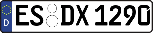 ES-DX1290