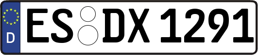 ES-DX1291