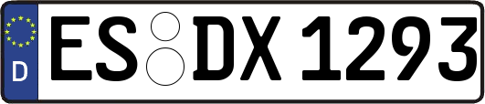 ES-DX1293