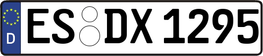 ES-DX1295