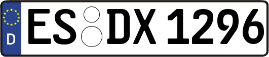 ES-DX1296