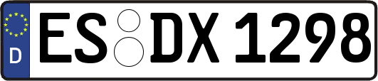 ES-DX1298