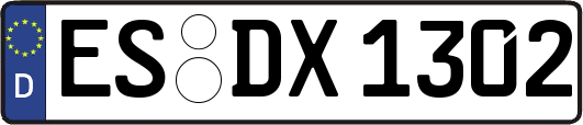 ES-DX1302