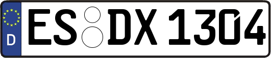 ES-DX1304