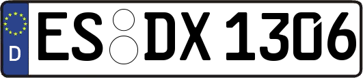 ES-DX1306