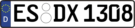 ES-DX1308