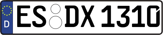 ES-DX1310