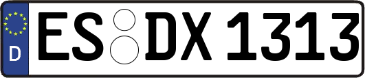 ES-DX1313