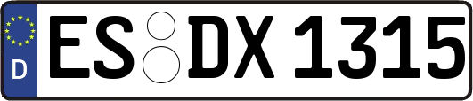 ES-DX1315