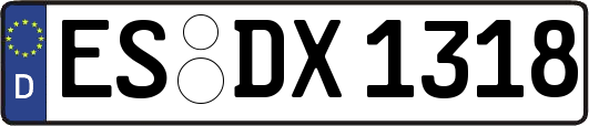 ES-DX1318