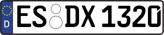 ES-DX1320
