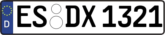 ES-DX1321