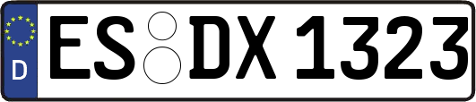 ES-DX1323