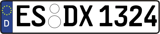ES-DX1324
