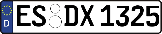 ES-DX1325