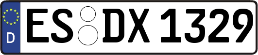 ES-DX1329