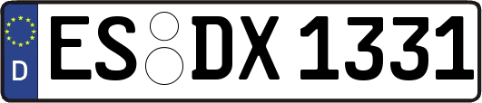 ES-DX1331