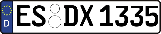 ES-DX1335