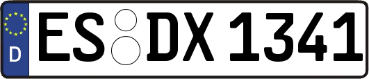 ES-DX1341