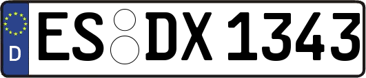 ES-DX1343