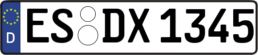 ES-DX1345