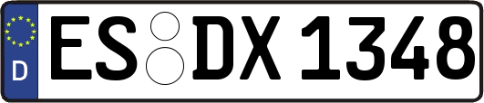 ES-DX1348