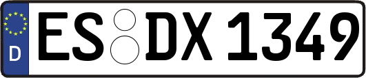 ES-DX1349