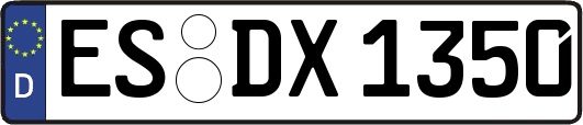 ES-DX1350