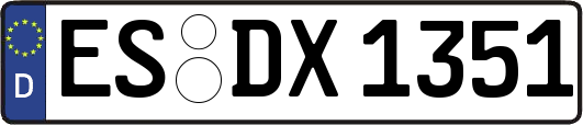 ES-DX1351