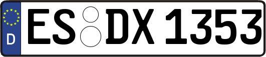 ES-DX1353