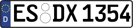 ES-DX1354
