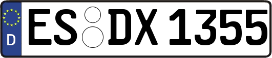ES-DX1355