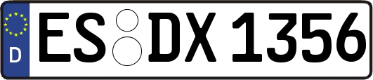ES-DX1356