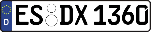 ES-DX1360