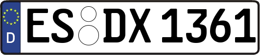 ES-DX1361