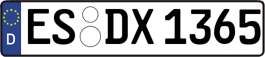 ES-DX1365