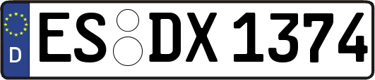 ES-DX1374