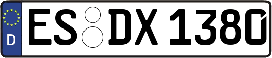 ES-DX1380