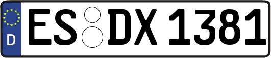 ES-DX1381
