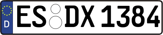 ES-DX1384
