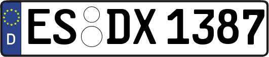 ES-DX1387