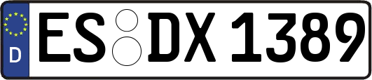 ES-DX1389