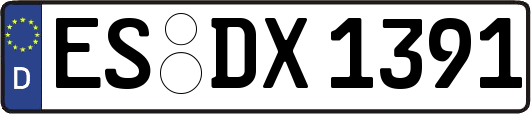 ES-DX1391