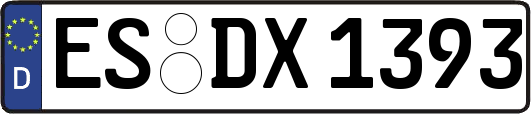 ES-DX1393