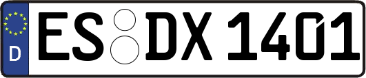 ES-DX1401