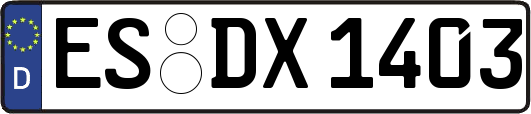 ES-DX1403