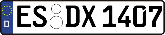 ES-DX1407
